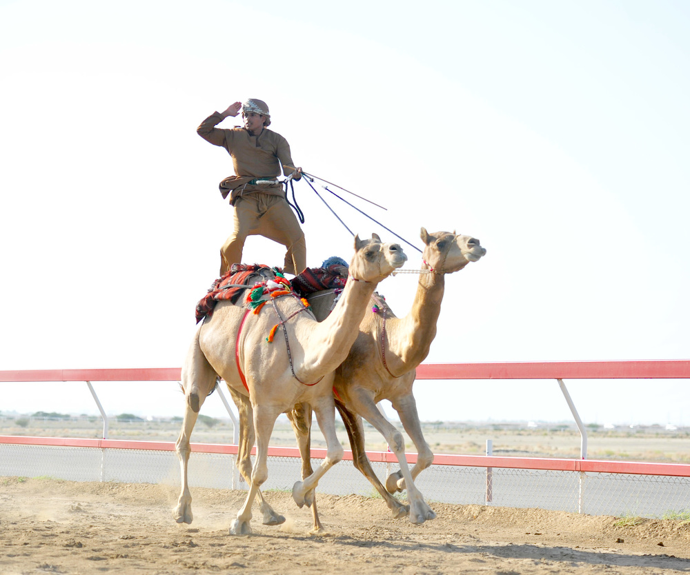 HH Sayyid Theyazin Presides over Closing Ceremony of Camel Races Festival