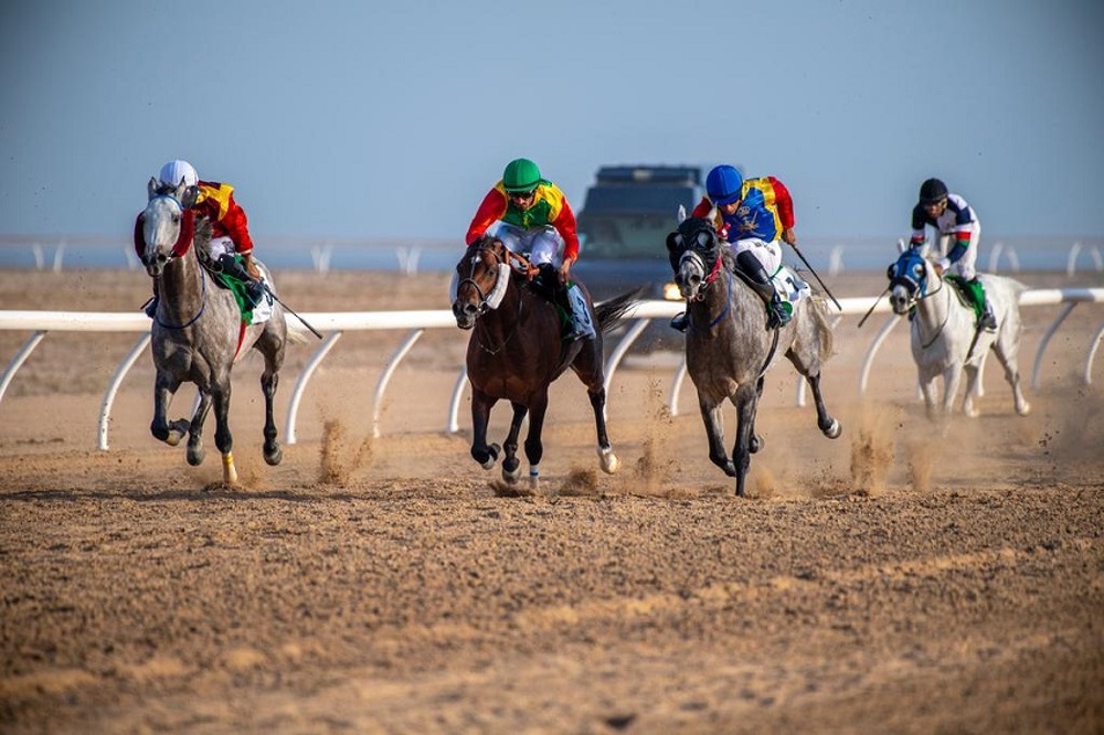 Assigned by HM The Sultan, HH Sayyid Theyazin to Preside Over Annual Horse Race on Thursday