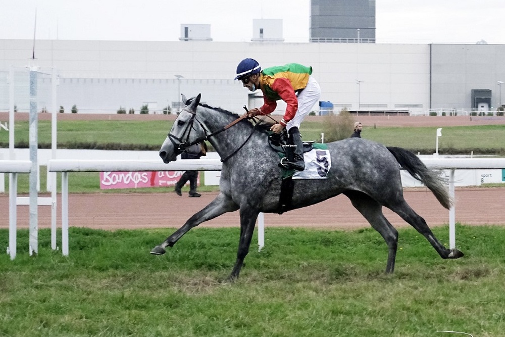The Horse (Qamariyah) of the Royal Cavalry wins first place in France