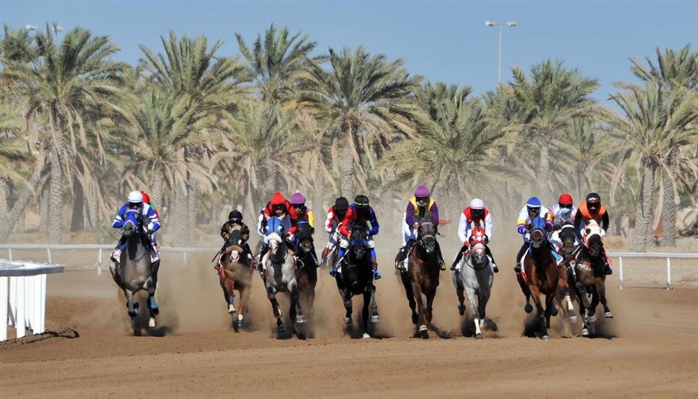The Royal Horseracing Club organizes the 50th National Day Cup today at Al Rahba Racecourse