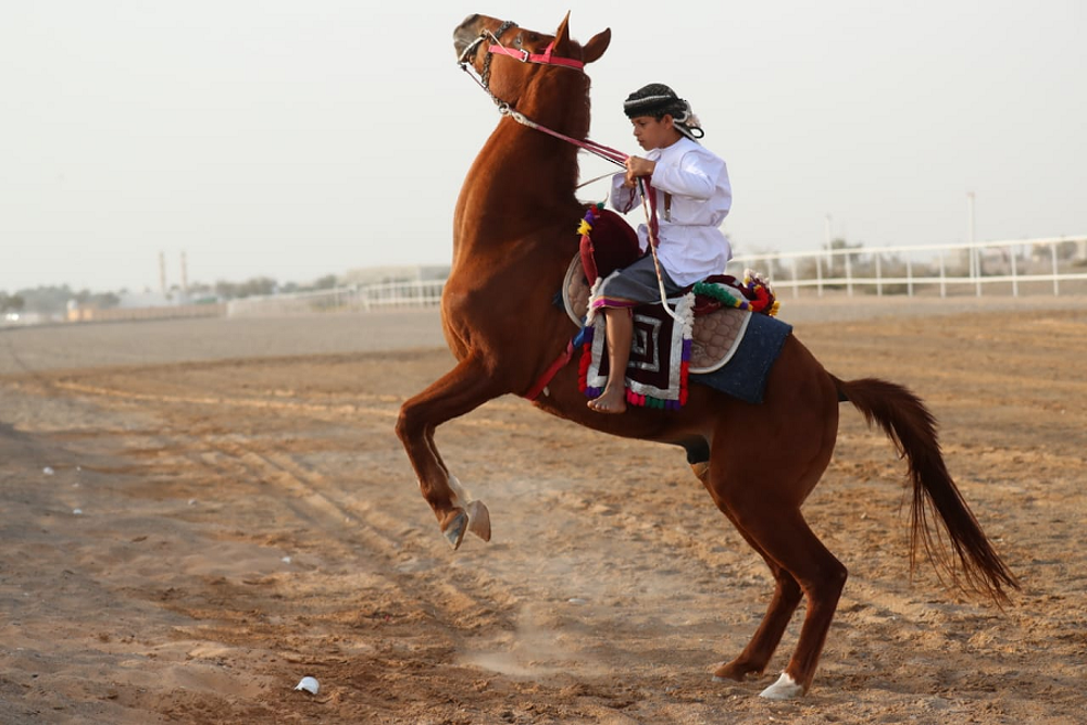 Finishing the filming of the Omani documentary “Ardha” ... The Cultural Bulletin.