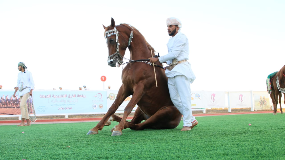 Finishing the filming of the Omani documentary “Ardha” ... The Cultural Bulletin.