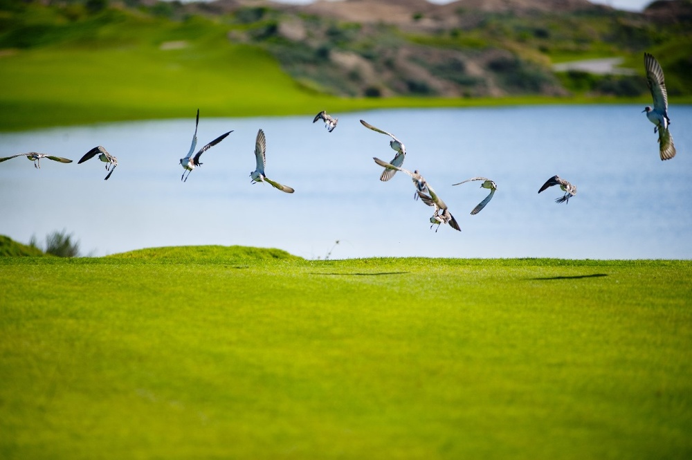 Al Mouj Muscat’s premium golf course Al Mouj Golf gets GEO environmental certification