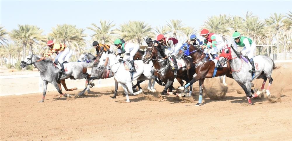 The Royal Horseracing Club organizes the 50th National Day Cup today at Al Rahba Racecourse